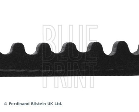 V-Belt AD13V1050 Blue Print, Image 4
