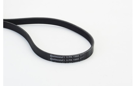 V-Ribbed Belt 5PK1960 Contitech