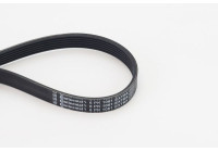 V-Ribbed Belt 6PK1061 EXTRA Contitech