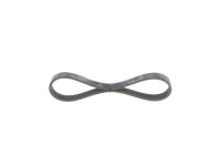 V-Ribbed Belt Elastic