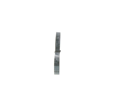 V-Ribbed Belt Elastic, Image 4