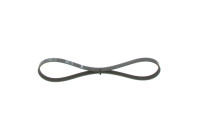 V-Ribbed Belt Elastic
