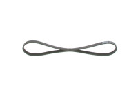 V-Ribbed Belt Elastic