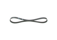 V-Ribbed Belt Elastic
