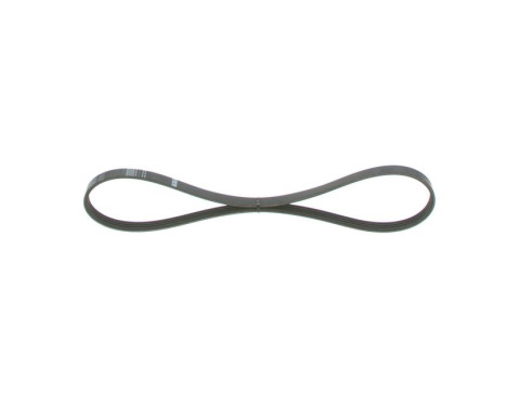 V-Ribbed Belt Elastic