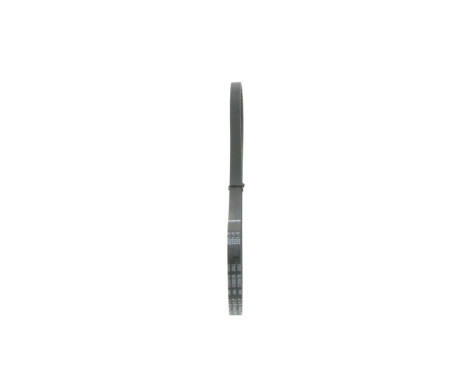 V-Ribbed Belt Elastic, Image 4