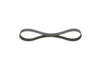 V-Ribbed Belt Elastic