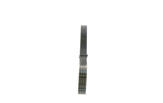V-Ribbed Belt Elastic, Image 2