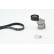 V-Ribbed Belt Set 6PK1453K2 Contitech, Thumbnail 2