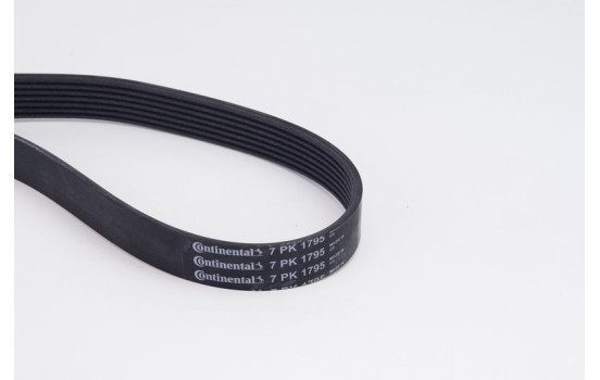 V-Ribbed Belt Set 7PK1795K1 Contitech, Image 4