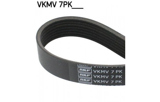 V-Ribbed Belt