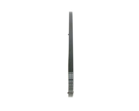 V-Ribbed Belt, Image 4