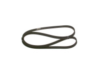 V-Ribbed Belt