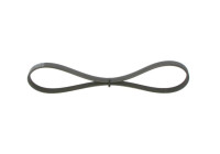 V-Ribbed Belt