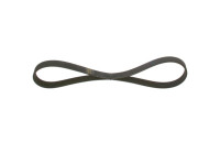 V-Ribbed Belt