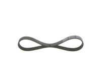 V-Ribbed Belt
