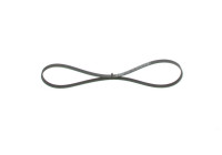 V-Ribbed Belt