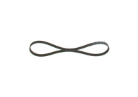 V-Ribbed Belt