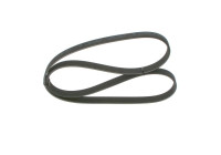 V-Ribbed Belt