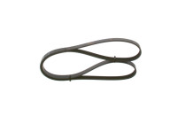 V-Ribbed Belt