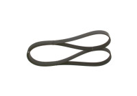 V-Ribbed Belt