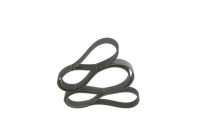 V-Ribbed Belt