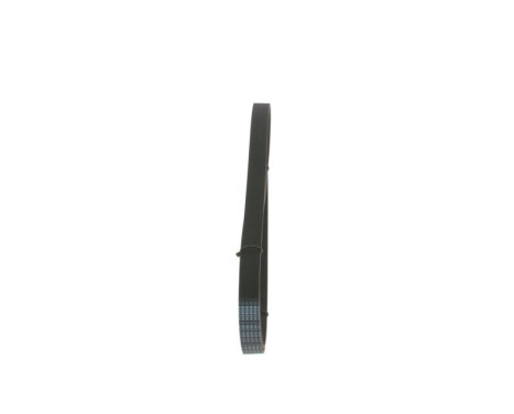 V-Ribbed Belt, Image 4