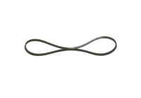 V-Ribbed Belt