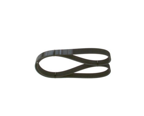 V-Ribbed Belt