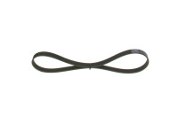 V-Ribbed Belt