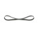V-Ribbed Belt