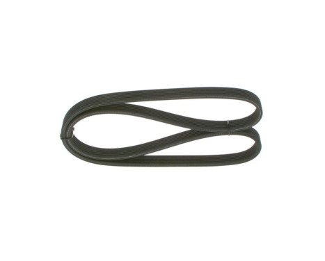 V-Ribbed Belt