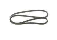 V-Ribbed Belt