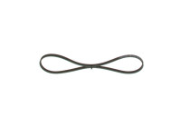 V-Ribbed Belt