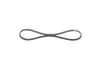 V-Ribbed Belt