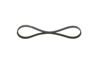 V-Ribbed Belt