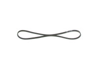 V-Ribbed Belt