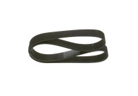 V-Ribbed Belt