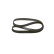V-Ribbed Belt, Thumbnail 3