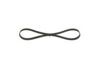 V-Ribbed Belt
