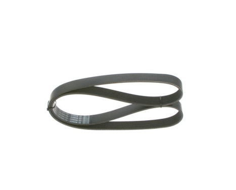 V-Ribbed Belt