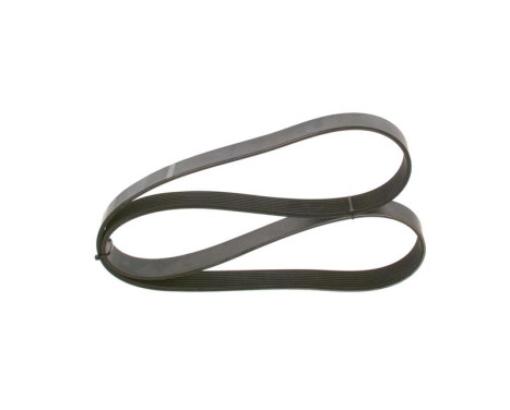 V-Ribbed Belt
