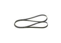 V-Ribbed Belt