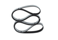 V-Ribbed Belt