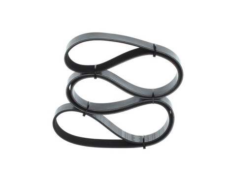V-Ribbed Belt, Image 3