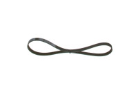 V-Ribbed Belt