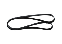 V-Ribbed Belt