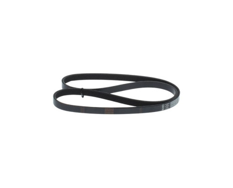 V-Ribbed Belt