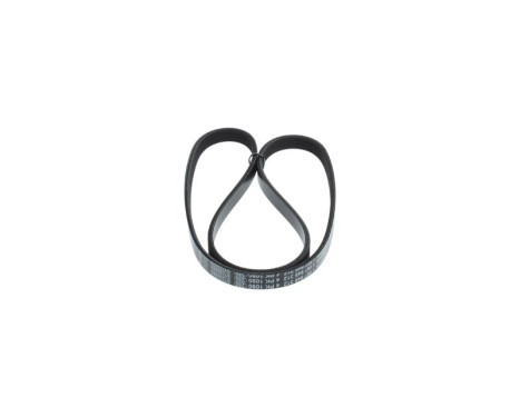 V-Ribbed Belt, Image 4