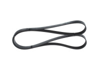 V-Ribbed Belt